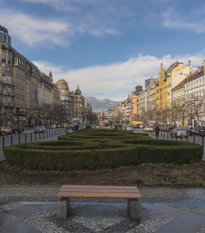 Buildings and bushes in the square